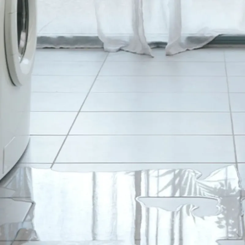 Appliance Leak Cleanup in Dandridge, TN