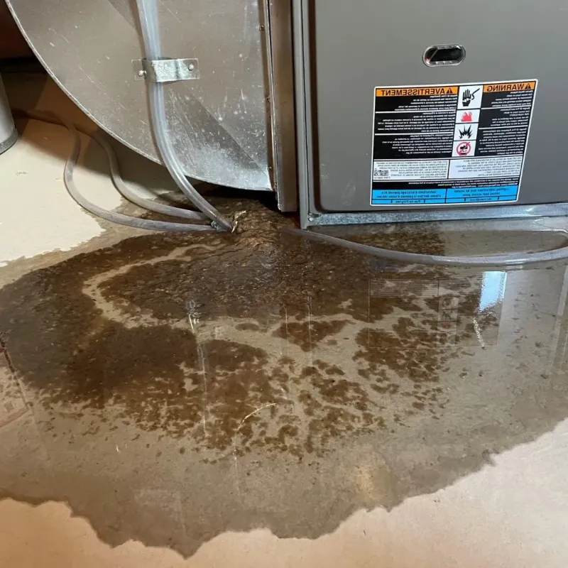 Pipe Burst and Leak Restoration in Dandridge, TN