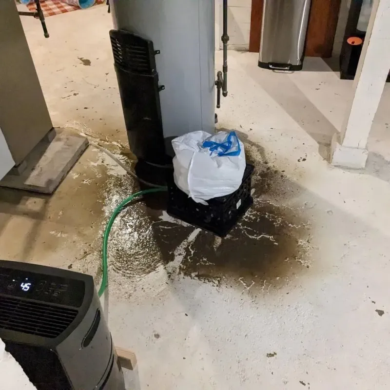Sewage Backup Cleanup Service in Dandridge, TN